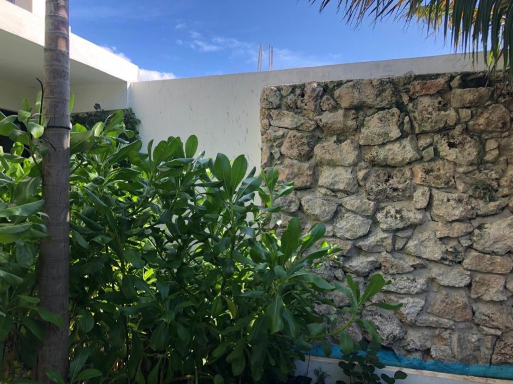 Ricoisla Eco Chic 4*